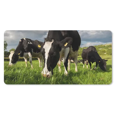 Produktbild von MuchoWow® Schreibtischunterlage Kühe - Tiere - Gras - Wiese - Bauernhof 80x40 cm - XXL Mauspad - Gaming Mauspad