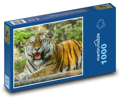 Obrázek produktu pro Puzzle 1000 Uhrančivý pohled tygra - martinpuzzle