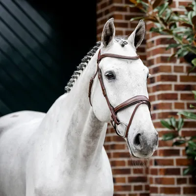 Immagine prodotto di Frena da dressage Horseware, taglia cavallo da corsa, colore marrone