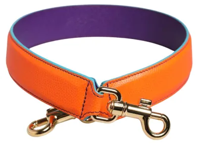 Image de Dolce & Gabbana Bandoulière Orange – Accessory Shoulder Strap