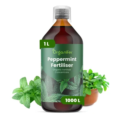 Zdjęcie produktu dla Mäta Pieprzowa Nawóz Płynny 1 L – 2-1-8 NPK – Do Mätu Pieprzowa – Podporuje Silny Wzrost i Aromatyczne Listy – Organifer