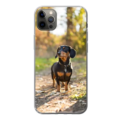 Produktbild von MuchoWow® Handyhülle Schutzhülle Hülle für iPhone 13 Pro Max Ein schöner Dackel im Wald Silikon Softcase Handy Hülle - Mobiltelefon
