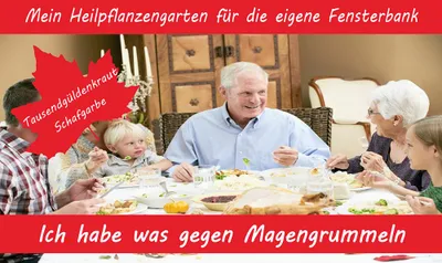 Produktbild von Anzuchtset Ich habe was gegen Magengrummeln | Anzuchtsets von Saflax