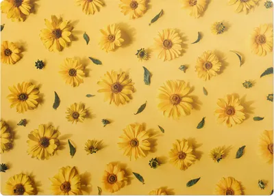 Produktbild von Blumen auf einem Hintergrund – Bodenschutzmatte – Stuhlunterlage 140x100 cm – Rutschfest – Hartbodenmatte