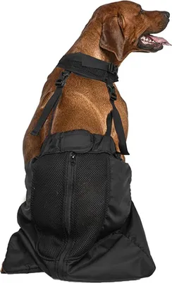 Produktbild von Hundeschleppgeschirr - Alternative Hundeschubkarre - Hundeschutztasche - Verschleißfest - Atmungsaktiv für behinderte Hunde - Gelähmte Hinterbeine