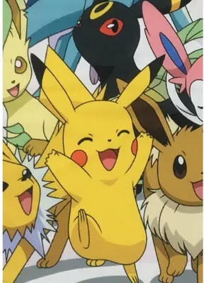Produktbild von Sherpa Decke, POKEMON Evolutions, 100 x 150 cm, Kuscheldecke, Wohndecke