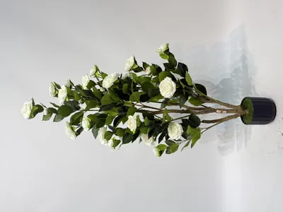 Imagen del producto de Camelia artificial en maceta, 120 cm de altura, color blanco. Planta artificial realista para interior, oficina y terraza, que no requiere cuidados