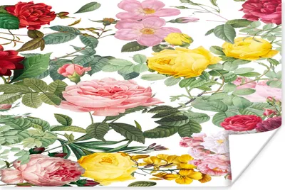Produktbild von MuchoWow® Poster Blumen - Gelb - Rosa - Weiß 180x120 cm - Fotoplakat