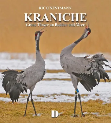 Produktbild von Kraniche
