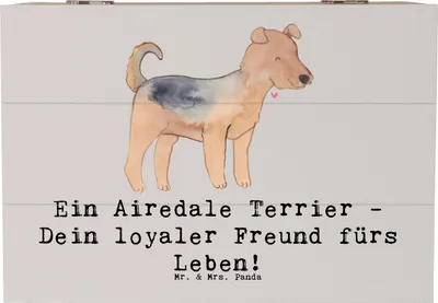 Produktbild von Mr. & Mrs. Panda Kiste Airedale Terrier 22 x 15 cm - Grau Pastell - Geschenk, Hund, aktiver, Hunderassen Charakter, Polizeihund, schatzkiste holz, Box, Hunderasse, Truhe
