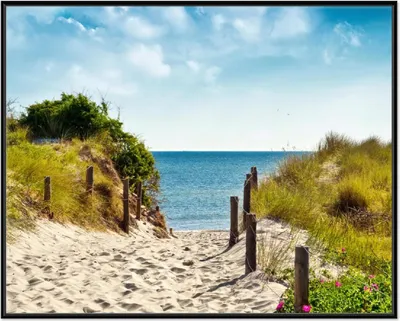 Produktbild von Wallario Wandbild Auf dem Sandweg zum Strand, Größe: 40,30 x 50,30 cm, Poster mit schwarzem Aluminiumrahmen