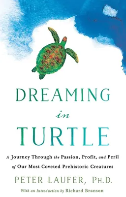 Produktbild von Dreaming in Turtle