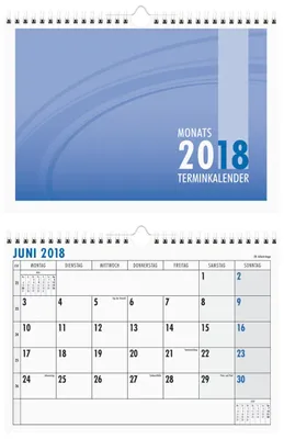 Produktbild von Monatsterminkalender 2021 29,7x21cm 1M/1S 989-0015