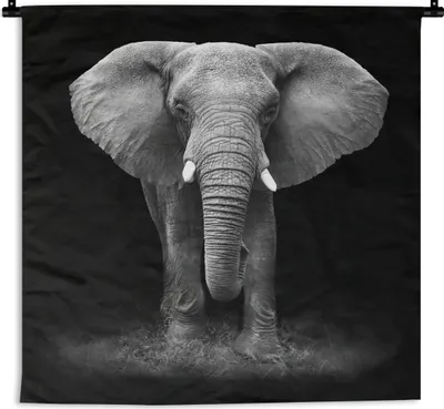 Produktbild von MuchoWow® Wandteppich Wandbehang Elefant - Schwarz - Weiß 120x160 cm Tapisserie Dekoration Wandtuch - Wohnzimmer - Moderne