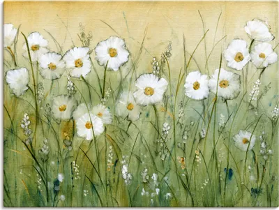 Produktbild von ARTland Leinwandbild Gänseblümchenfrühling II Größe: 40x30 cm