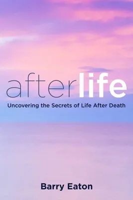 Produktbild von Afterlife