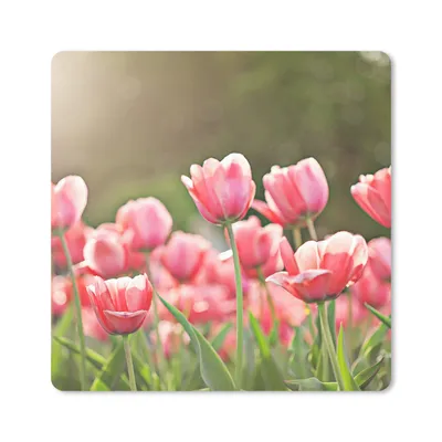 Produktbild von MuchoWow® Mauspad Mousepad Tulpen - Sonne - Frühling 30x30 cm - Mousepads - Maus Mat - Pad - Mausunterlage - Gaming