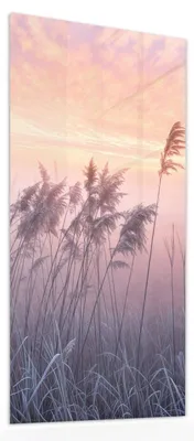 Produktbild von Glasbild 40x80cm in XXL für Wohnzimmer, Schlafzimmer Motiv Nebelwiese am Morgen