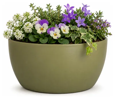 Produktbild von Floran Pflanzentopf - grun - Schale - Keramik - 26 x 14 cm