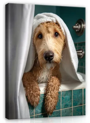 Produktbild von Leinwandbild Hund Bad Lustig - 60x90 cm - Wandbilder Badezimmer WC - Leinwand Leinwandbild Grün - PP16587O22