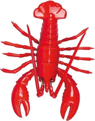 Produktbild von cook & STYLE Wackelmagnet Hummer