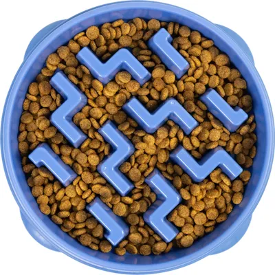 Obrázek produktu pro Outward Hound Anti Gulp Bowl pro psy Slo Bowl Blue