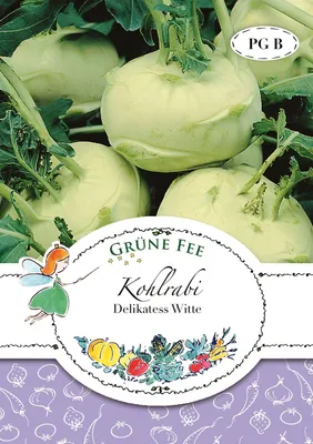 Artikelbild 1 von 'Kohlrabi Delikatess Witte' aus der Kategorie Kohlrabisamen