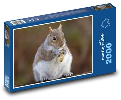 Zdjęcie produktu dla martinpuzzle - Puzzle 2000 - Veverka i orzech