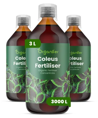 Obrázok produktu pre Coleus, tekuté hnojivo, 3x 1 liter – vzťah NPK 3-4-3 – pre okrasné rastliny – pre zdravé listy a intenzívne farby – podporuje rast koreňov a vitalitu – organické hnojivo