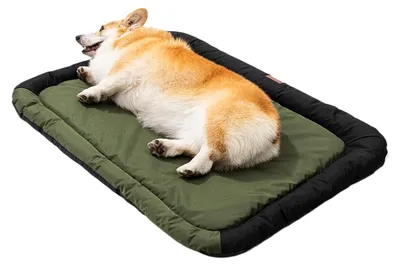 Immagine prodotto di Cuccia per cani con cuscino confortevole