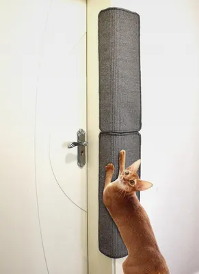 Produktbild von 2 Stück 66x30cm Sisal kratzmatte Katze,kratzbretter Katze Wand,kratzteppich Katze,kratzschutz Wand,kratzecke für Katzen,katzenkratzbretter für Boden und Wand