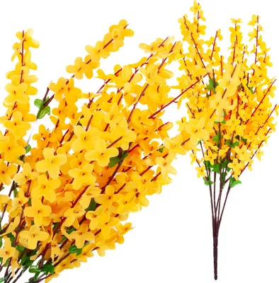 Immagine prodotto di Bouquet di Forsythia Rami gialli Pasqua Bouquet di foglie di Forsythia Primavera