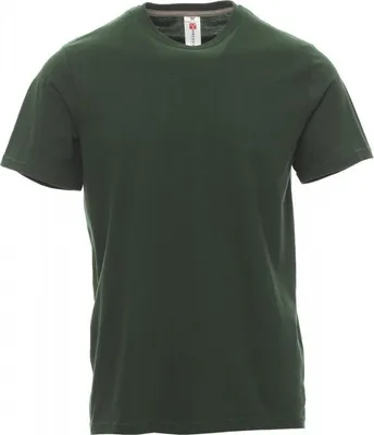 Produktbild von Herren T-Shirt Rundhals "SUNSET" - Payper Grün S