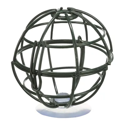 Produktbild von Trixie Suet-Halter für Fenster Metall Dunkelgrün