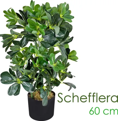 Image de Schefflera Arboricola Plante Arbre Artificielle Artificiel Plastique 60 cm Domaine Interne Decovego