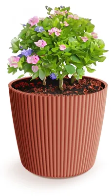 Produktbild von Prosperplast Pflanztopf Buckingham - steinrot - D23 cm