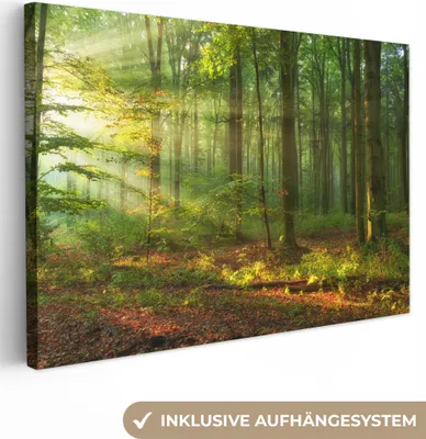 Produktbild von MuchoWow® - Leinwandbilder - Sonne - Wald - Bäume - Natur - Herbst, Wandbild, Wanddeko Bilder Wohnzimmer, 90x60cm