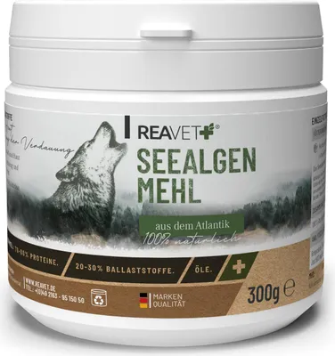 Produktbild von REAVET Atlantik Seealgenmehl Hund 300g – Barf Zusatz Mineralien, Seealgenmehl Hunde, Unterstützt Schilddrüse, Maulhygiene, Fell & Haut, Ballaststoffreiche Verdauung - Barfen für Hunde