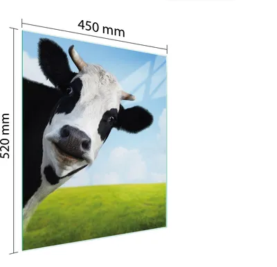 Obrázok produktu pre Sklenená Doska Na Krájanie 45X52 Kravka