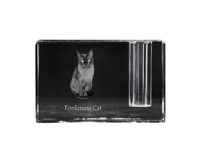Productafbeelding van Kattenijs kristallen pennenhouder met kat Art-Dog