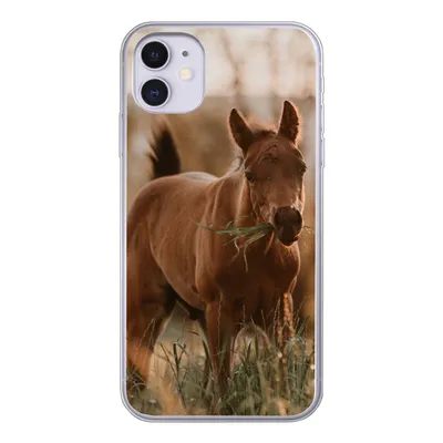 Produktbild von MuchoWow® Handyhülle Schutzhülle Hülle für iPhone 11 Pferd - Sonne - Gras Silikon Softcase Handy Hülle - Handytasche