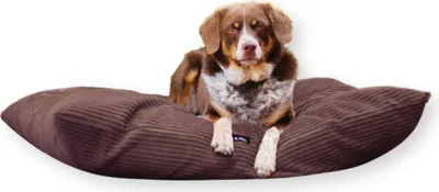 A dog is lying on a brown corduroy dog bed.