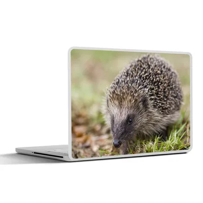 Produktbild von MuchoWow® Laptop Aufkleber Sticker Cover Igel im Gras 25x18 cm - Laptop-Deko