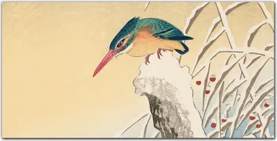 Produktbild von Coloray Küchenrückwand 140x70 Spritzschutz aus Glas - Tier Vogel Zeichnung