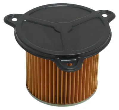 Immagine prodotto di Filtro aria MIW H1167 per Honda XL600V Transalp, XRV650 Africa Twin