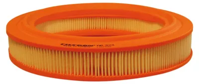 Zdjęcie produktu dla Filtr powietrza FILTRON AR 323