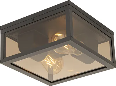 Produktbild von Deckenleuchte Schwarz mit Rauchglas 2 Flammig IP44 Charlois