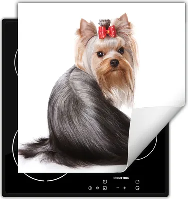 Image de DarHaus Plaque de recouvrement pour cuisinière 60x52 cm Tapis antidérapant Enroulable, blanc - chien