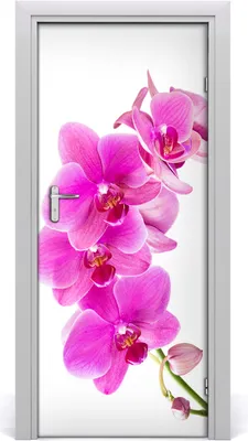 Produktbild von Tulup Türaufkleber 85x205 cm Dekorative Aufkleber Selbstklebend Wasserdichte Tapete Abnehmbar Schlafzimmer Wohnzimmer Wohnkultur - rosa Orchideen
