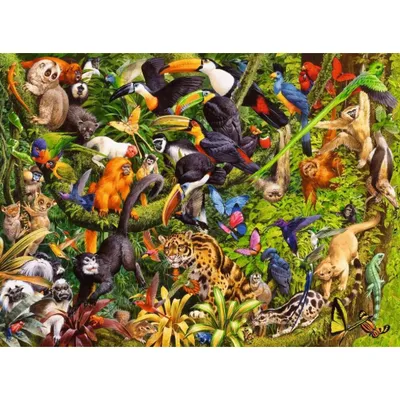 Obrázok produktu pre RAVENSBURGER Puzzle Dažďový prales XXL 200 dielikov